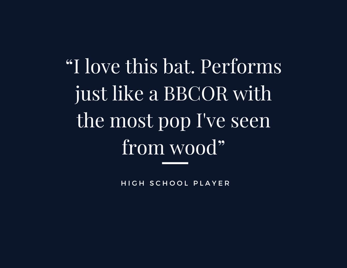 baseball bat