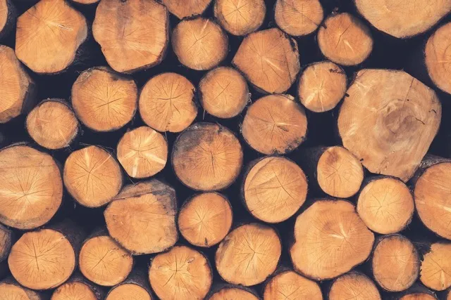 piles of wood logs